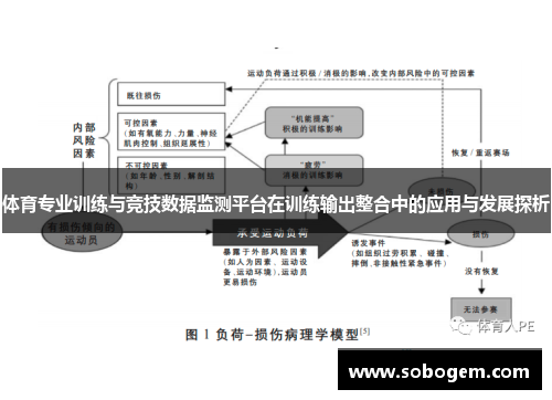 体育专业训练与竞技数据监测平台在训练输出整合中的应用与发展探析